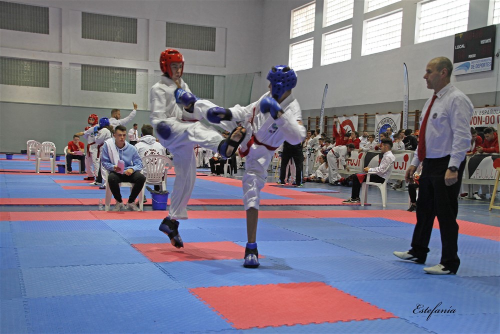 Copa Seul 2018 (520).jpg